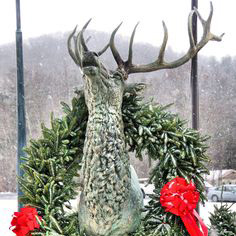 banner elk christmas 2018.jpg